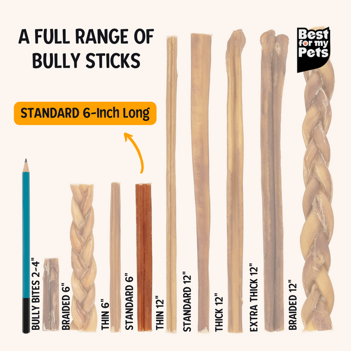 Bully Sticks - 6 Inch