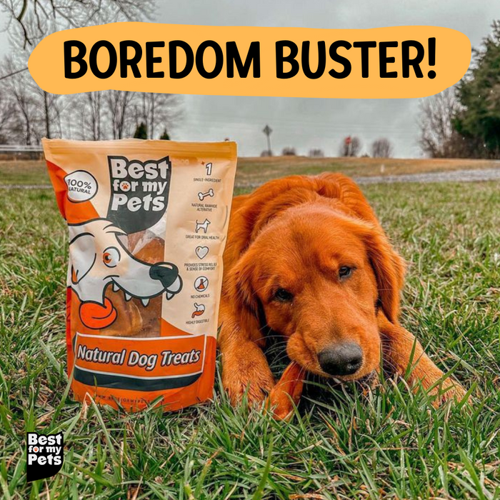 Bully Sticks - 6 Inch