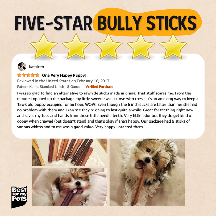 Bully Sticks - 6 Inch