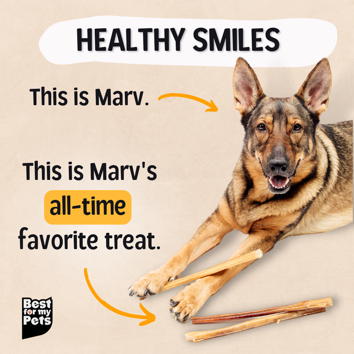 Bully Sticks - 6 Inch