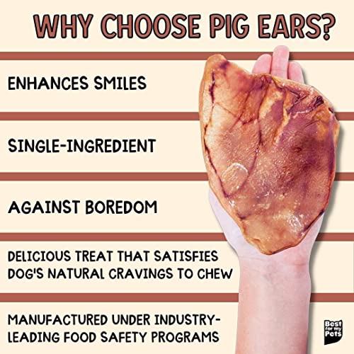 Pig Ears for Dogs (Whole, 30 Pack) by Best For My Pets